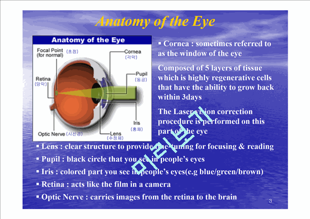 Refrative Laser Eye Surgery   (3 )